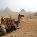 2007_egypttrip073
